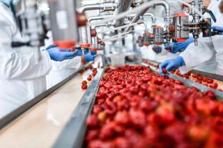 Food Safety Filtration